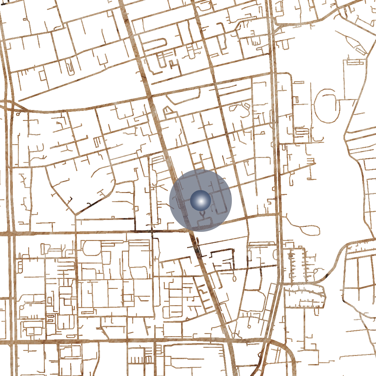 20873 Branded Map