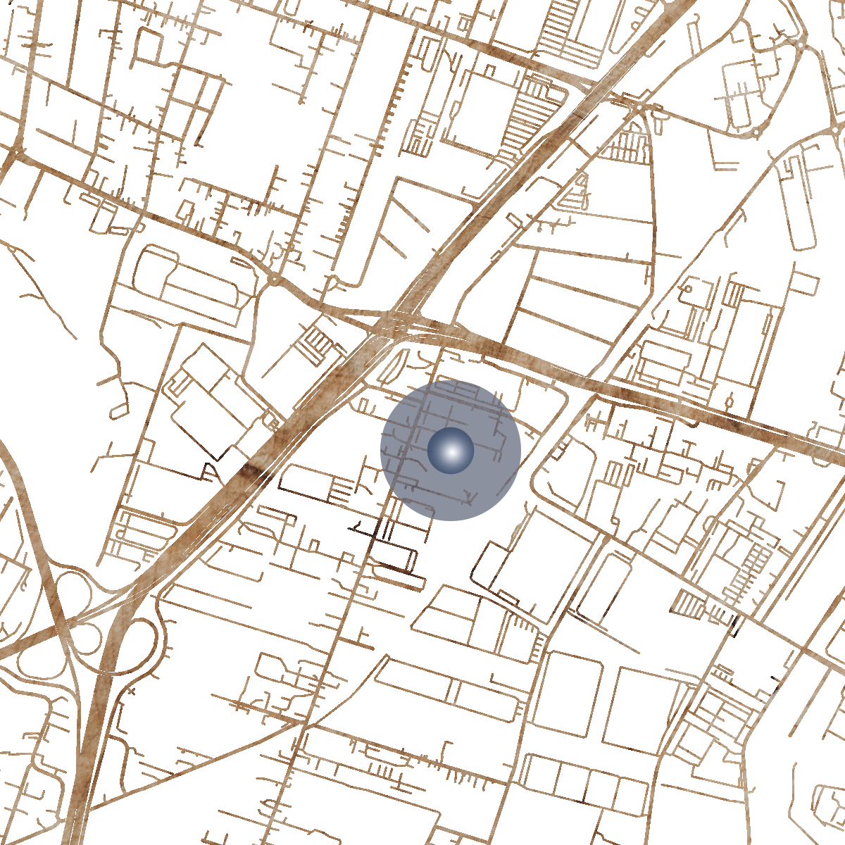 21812 Branded Map