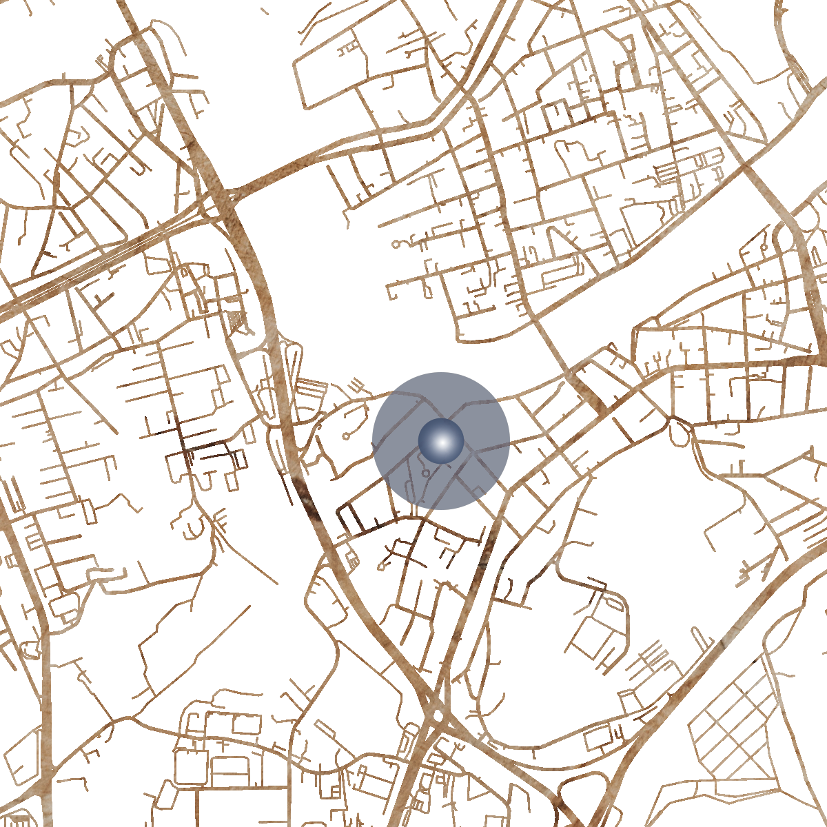 16251 Branded Map