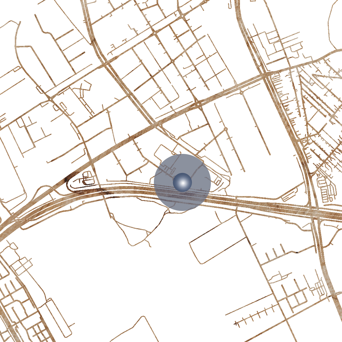 20307 Branded Map