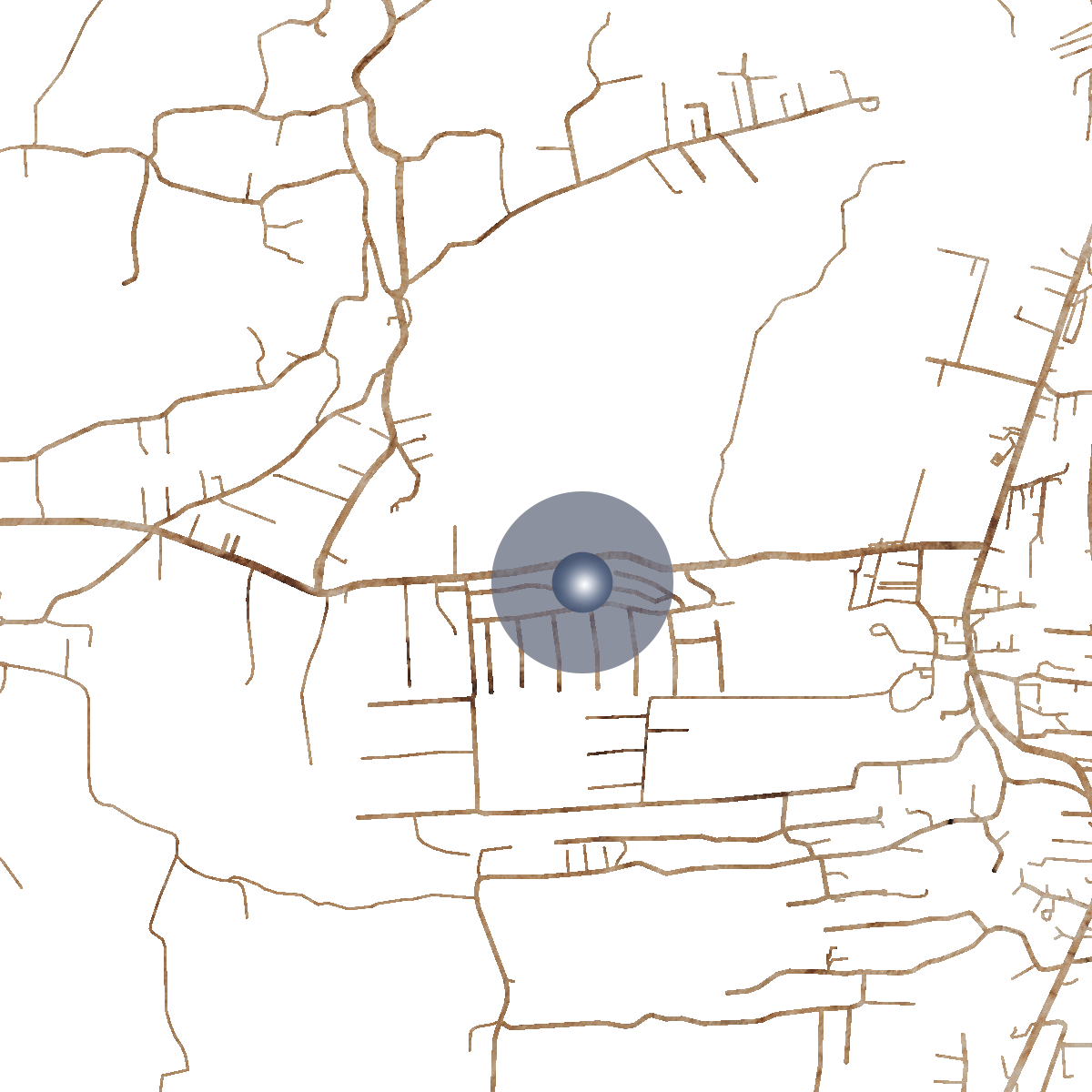 21787 Branded Map