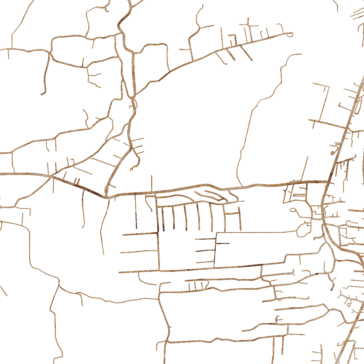 21787 Branded Map