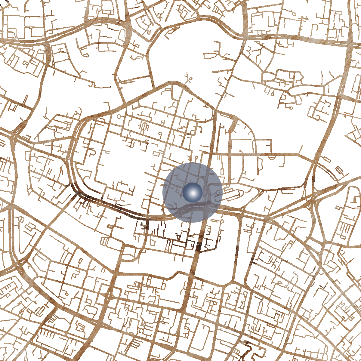 21096 Branded Map