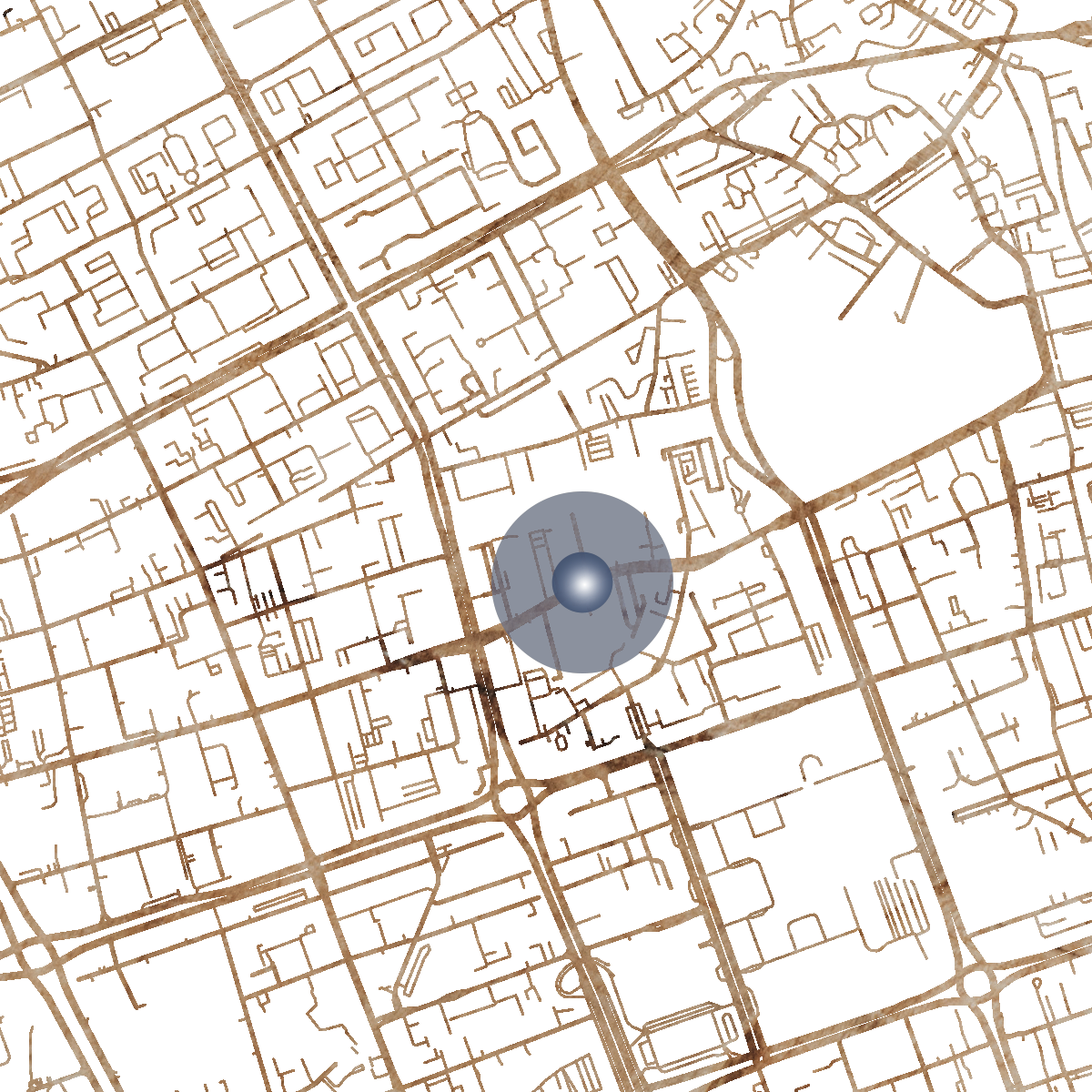 9171 Branded Map