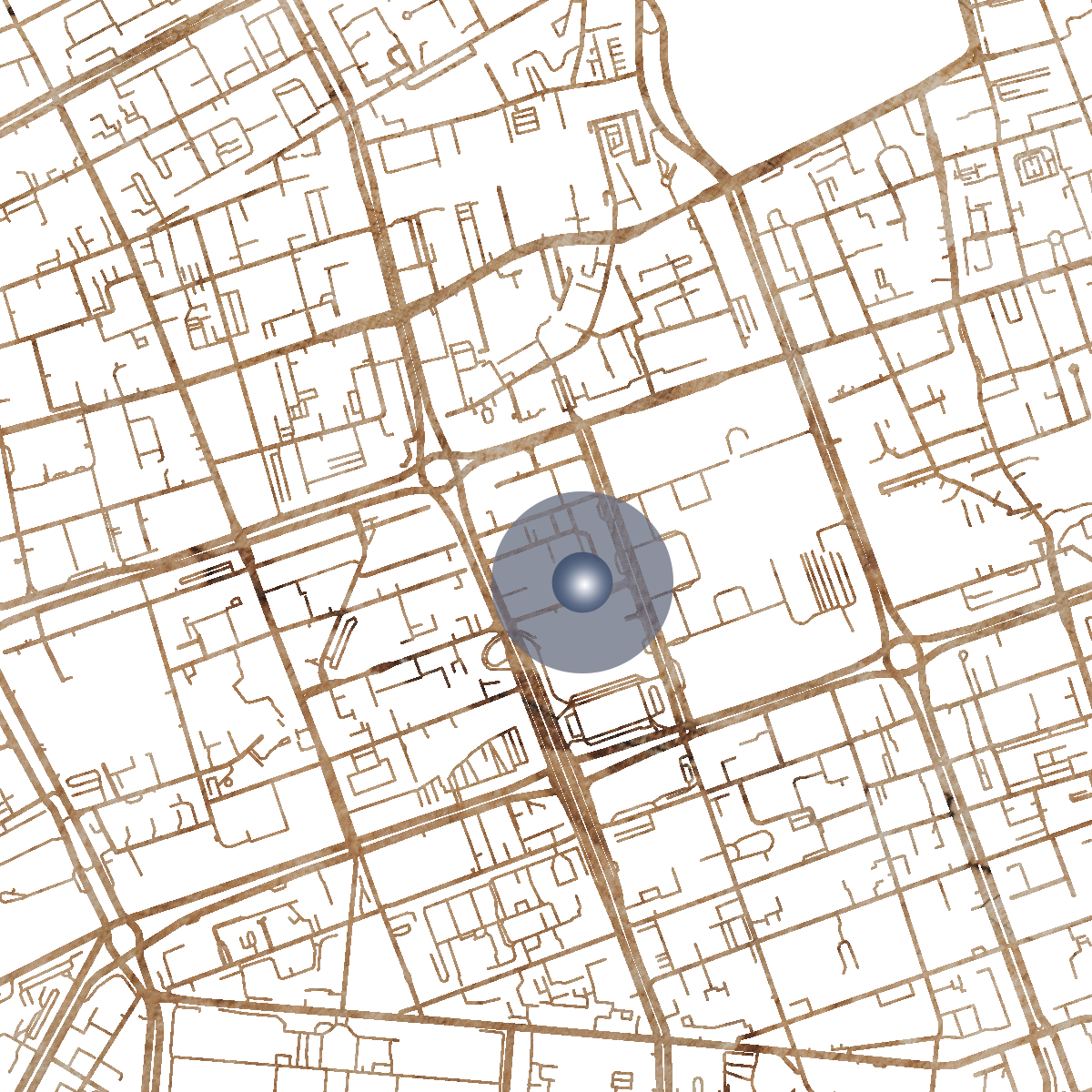 21539 Branded Map