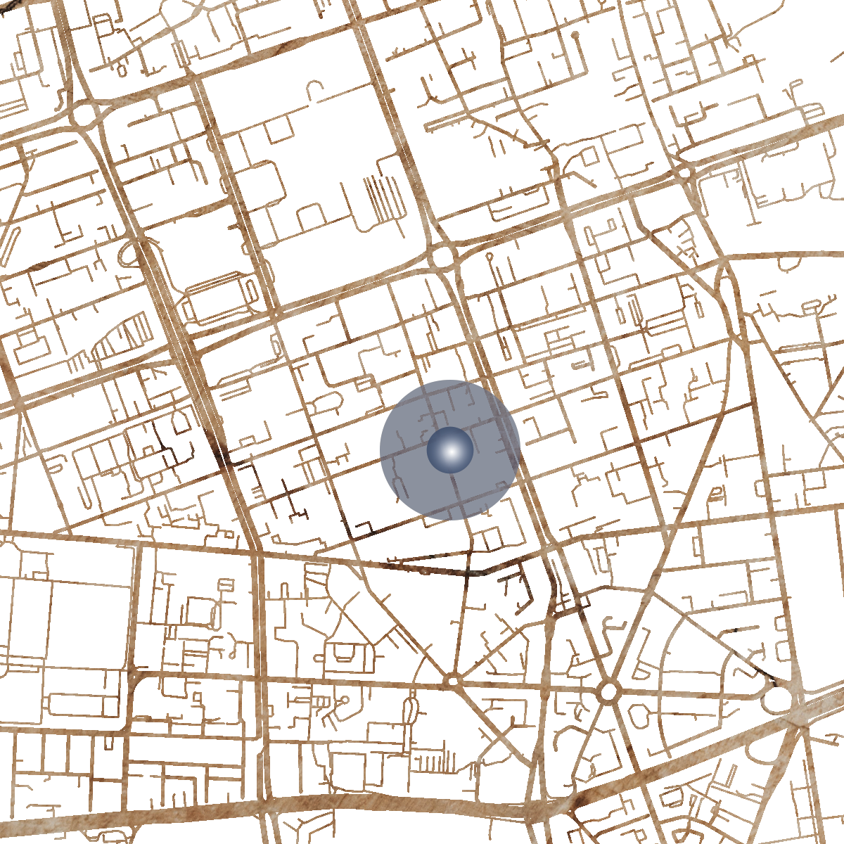17207 Branded Map