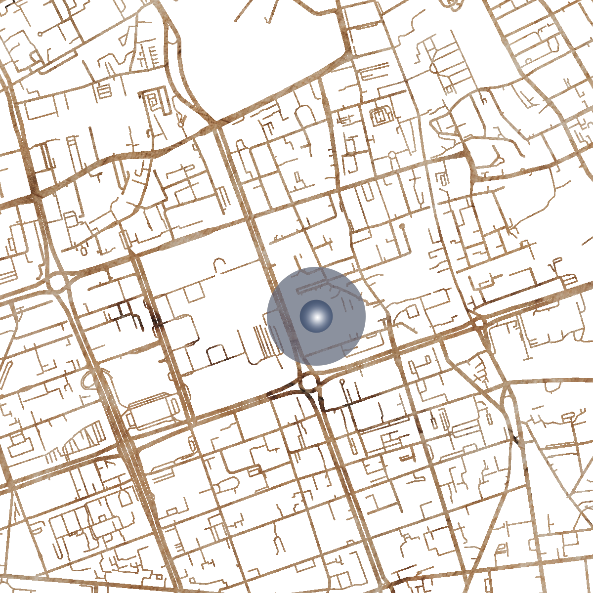 5993 Branded Map