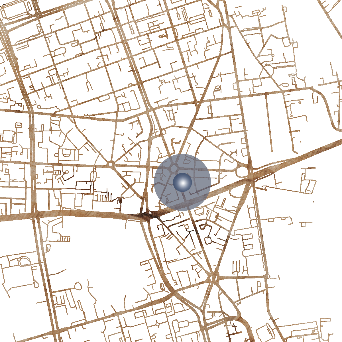 20485 Branded Map
