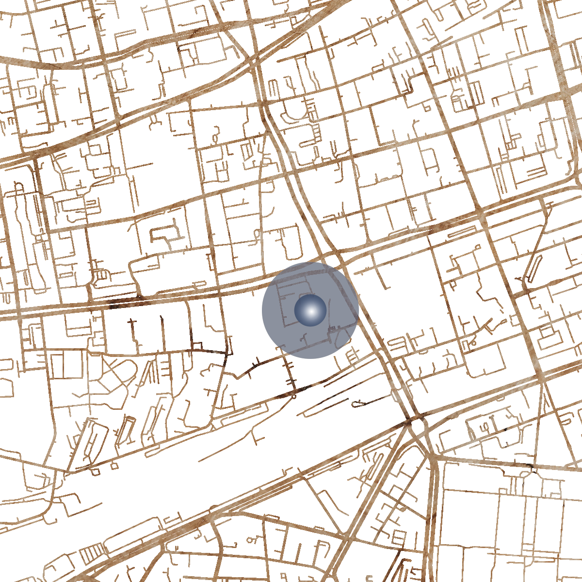 21791 Branded Map