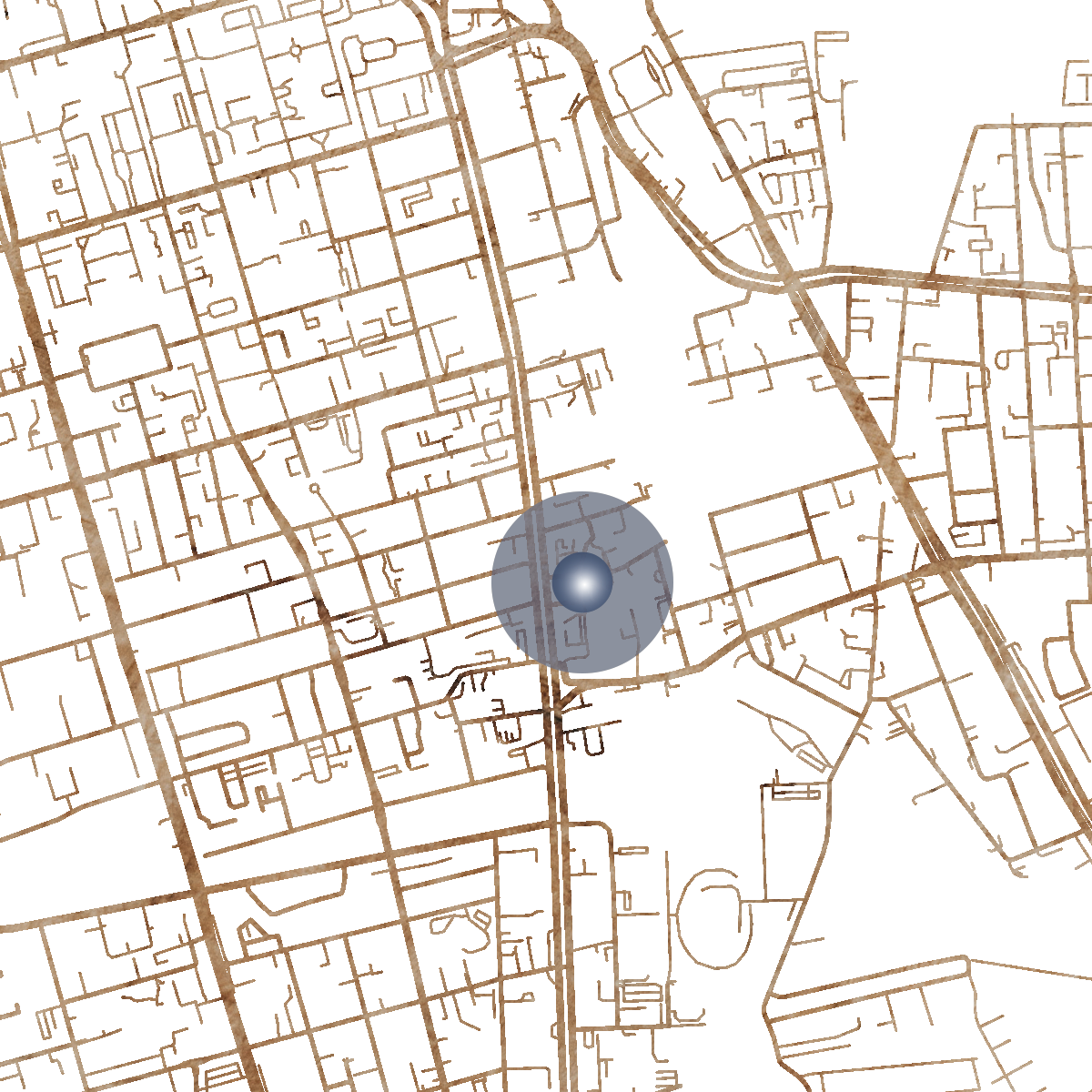 20561 Branded Map