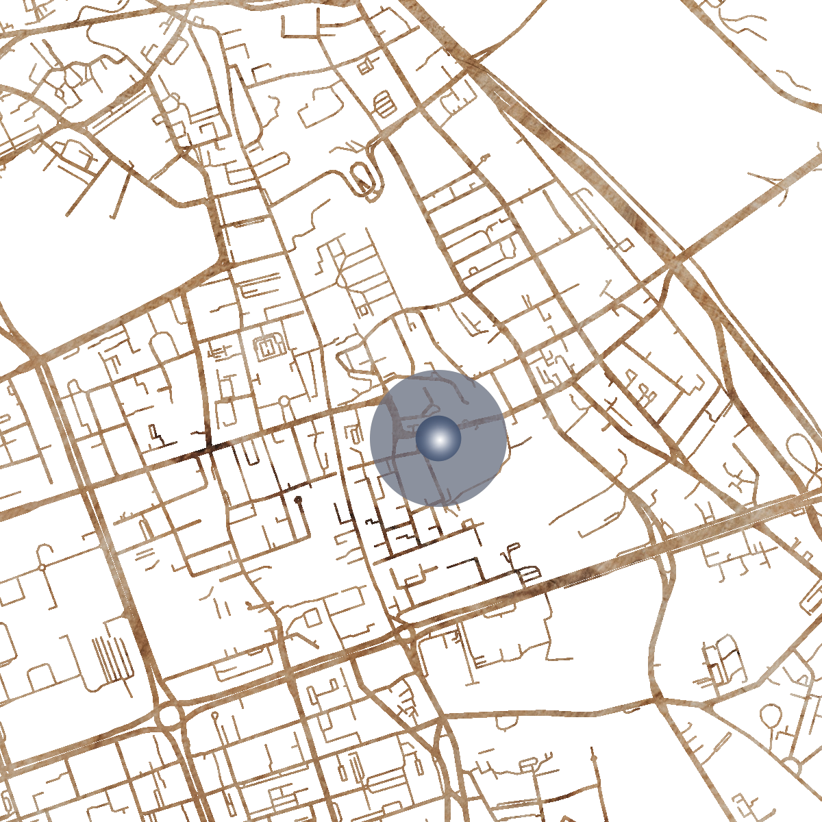 8732 Branded Map
