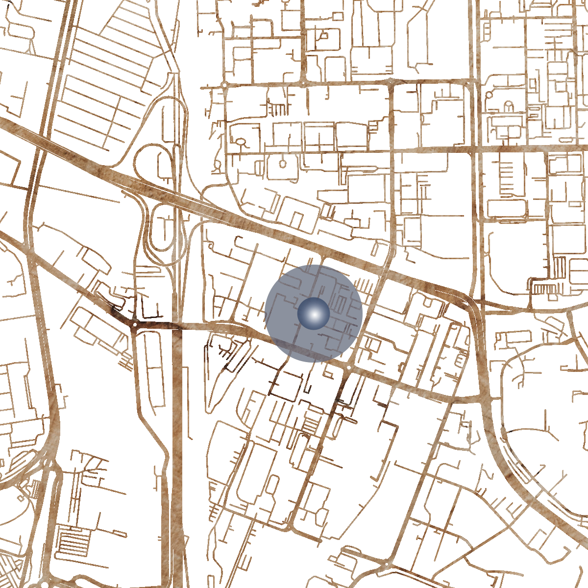 8067 Branded Map