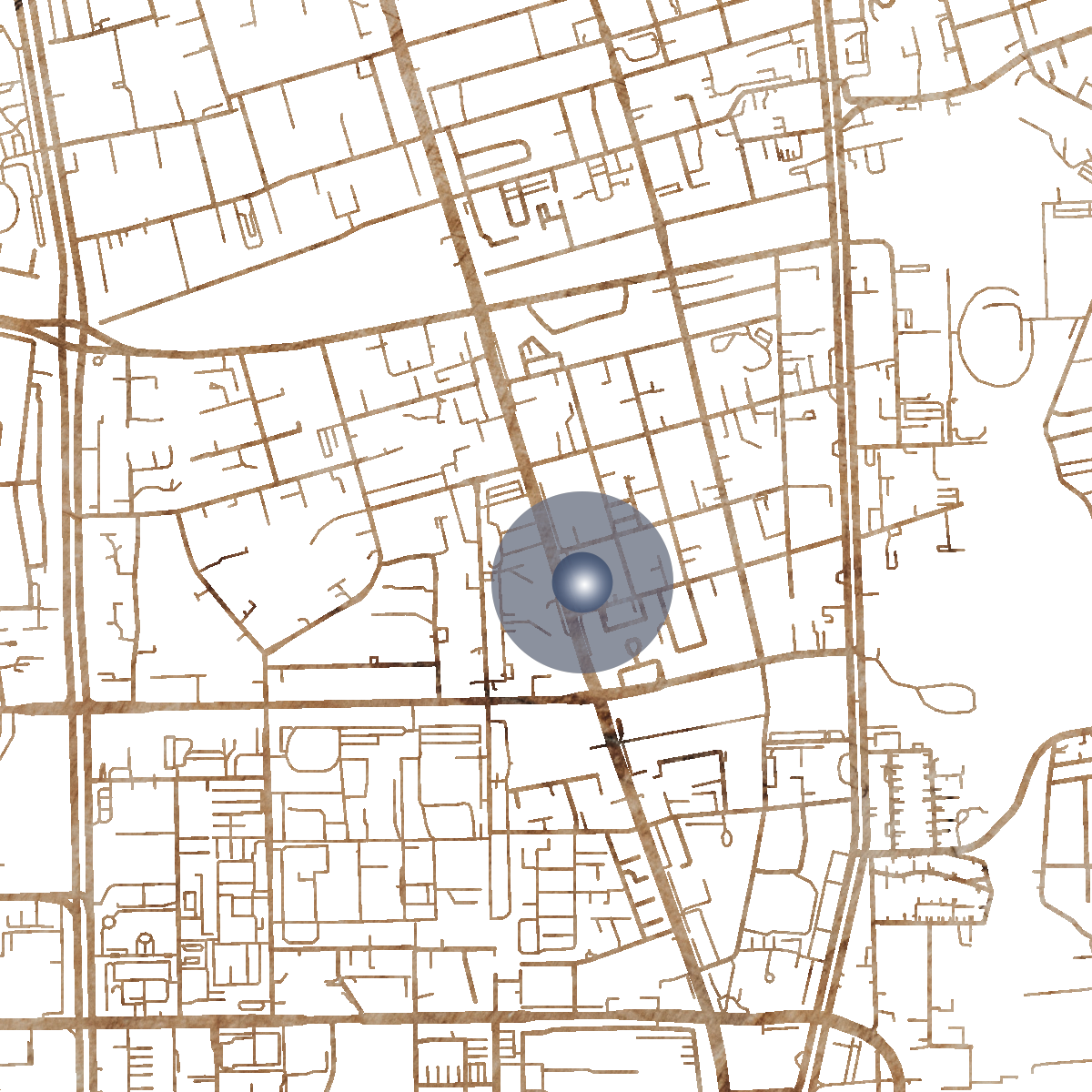 22100 Branded Map