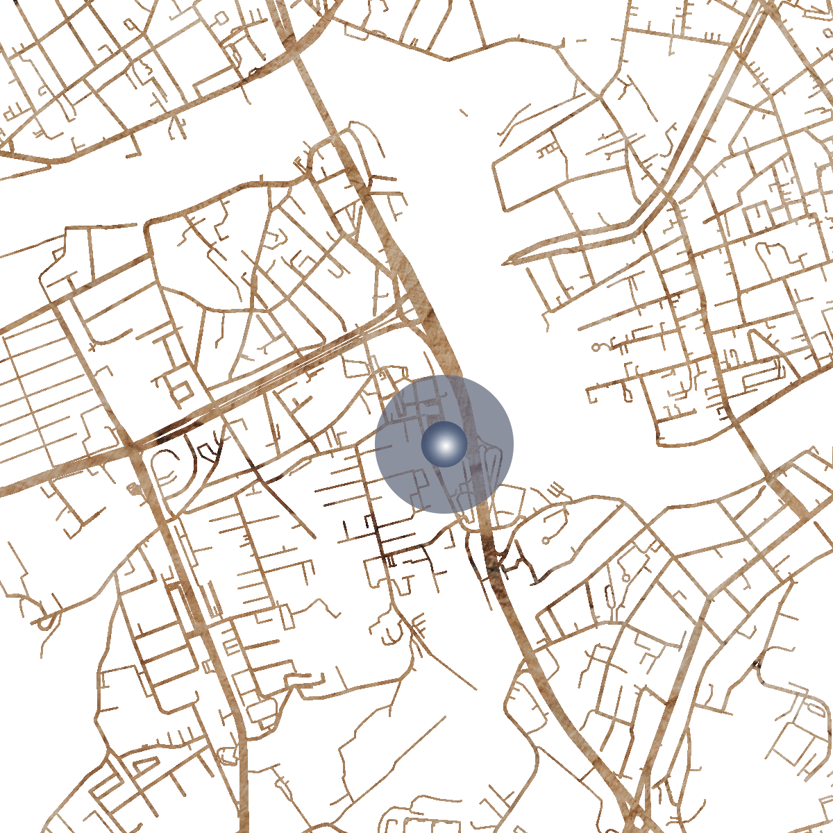 16996 Branded Map