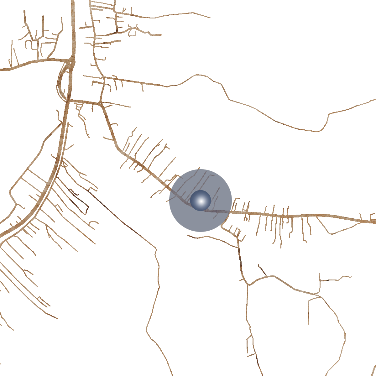 22169 Branded Map