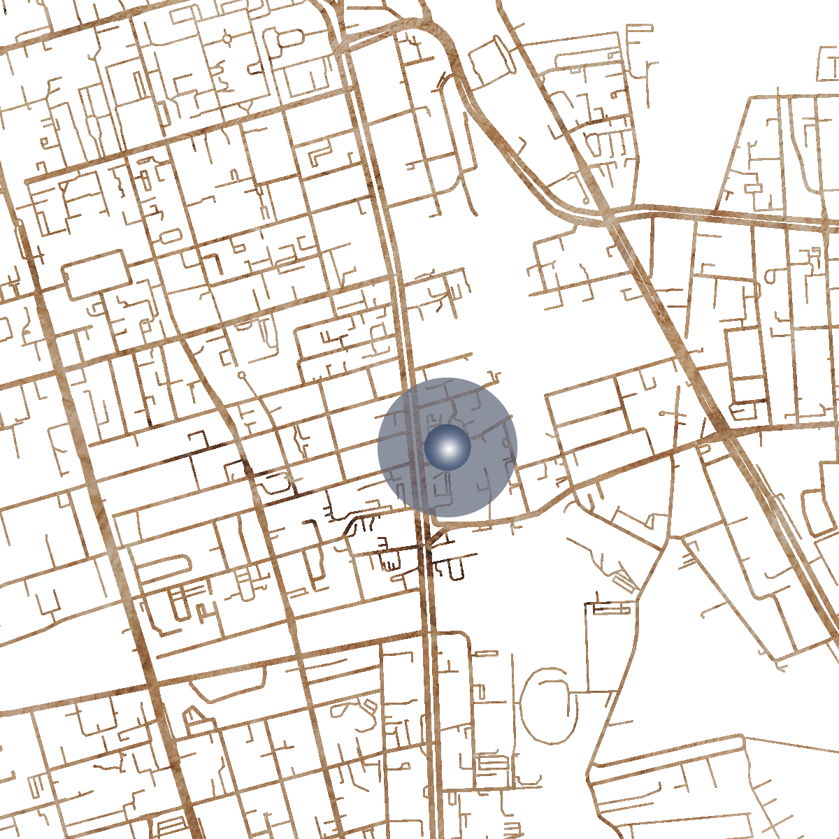 20561 Branded Map