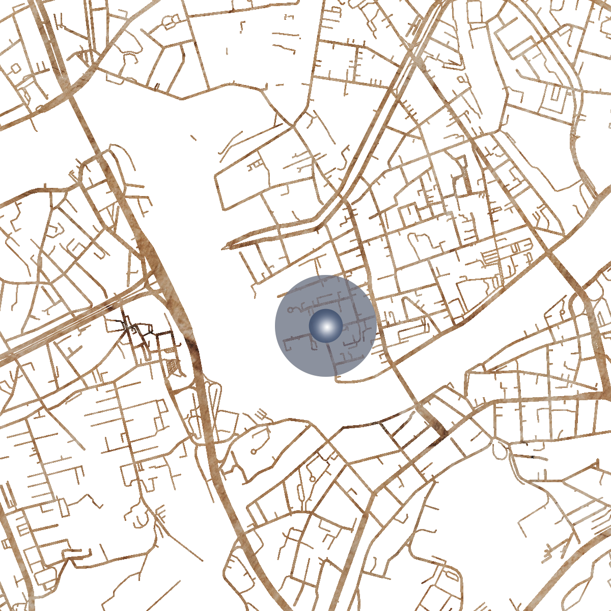 21808 Branded Map