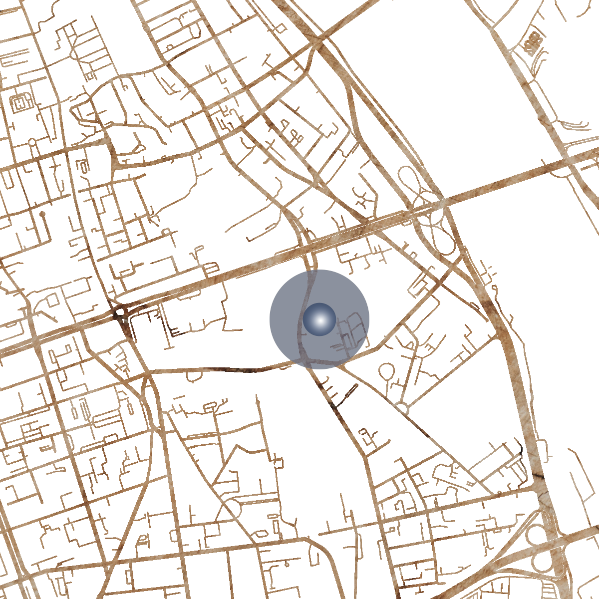 17195 Branded Map