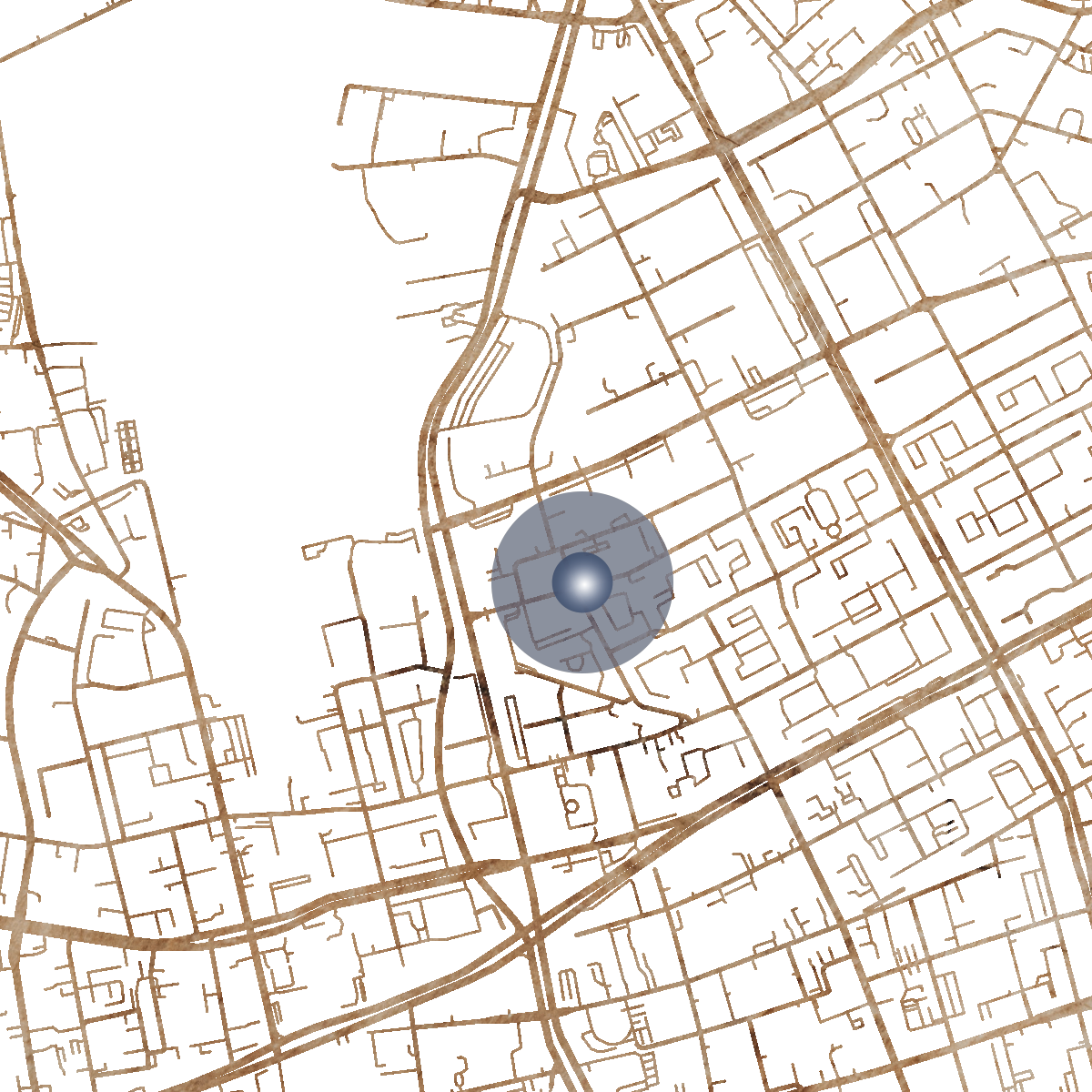 16687 Branded Map