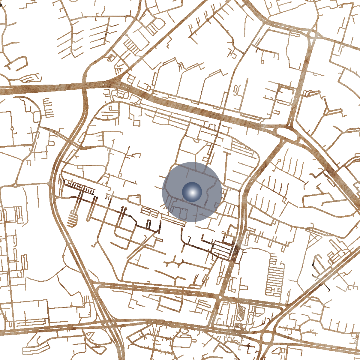 21655 Branded Map