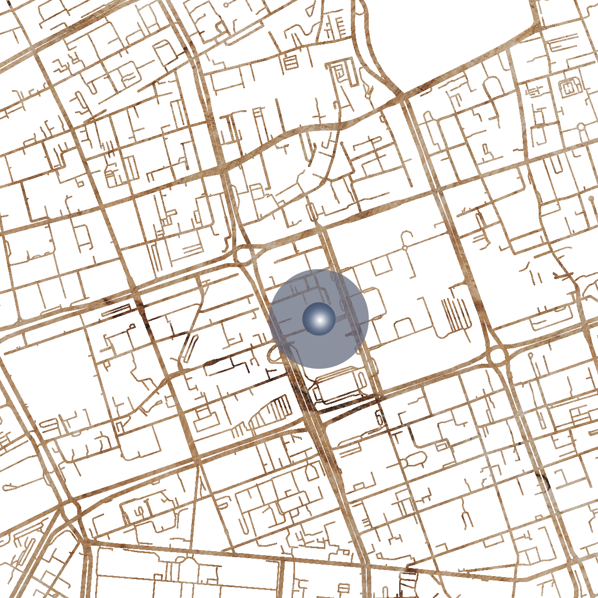 21667 Branded Map