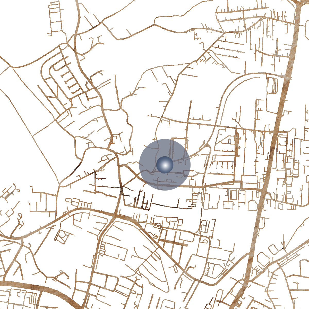 22351 Branded Map