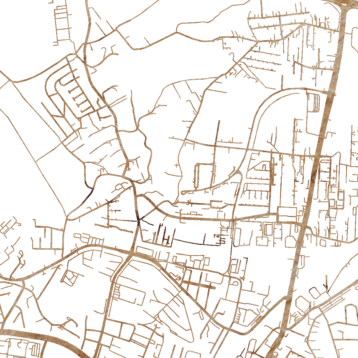 22351 Branded Map